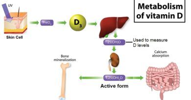 The Essential Role of Vitamin D: More Than Just a Vitamin