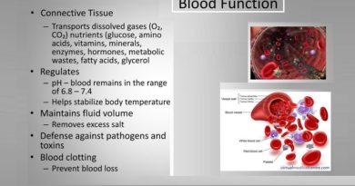 Functions of Blood and its main components