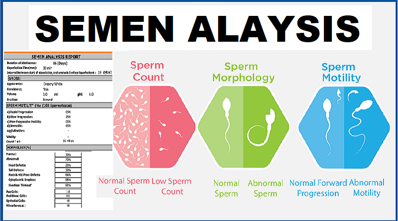 semen analysis report