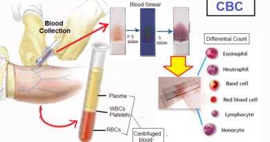 Complete Blood Count Test - CBC