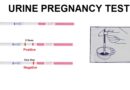 Urine Pregnancy Test