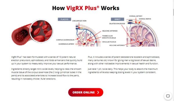 VigRX Plus® for Men - Image 2