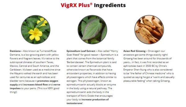 VigRX Plus® for Men - Image 4
