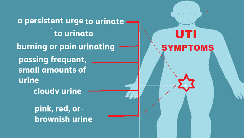 Urinary Tract Infection UTI Causes Symptoms And Treatment