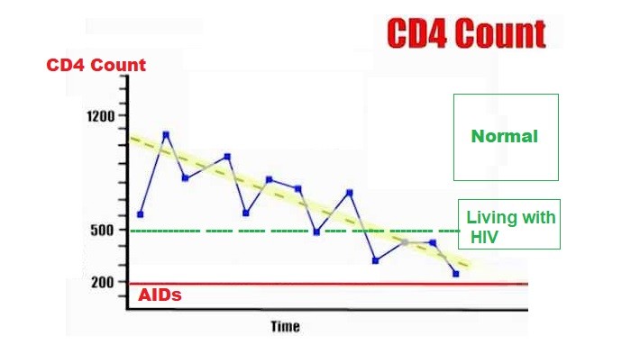 CD4 Cells Count in HIV patients