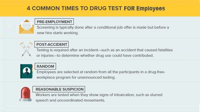 Drug Testing Employment 