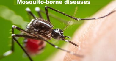 Mosquito-borne diseases