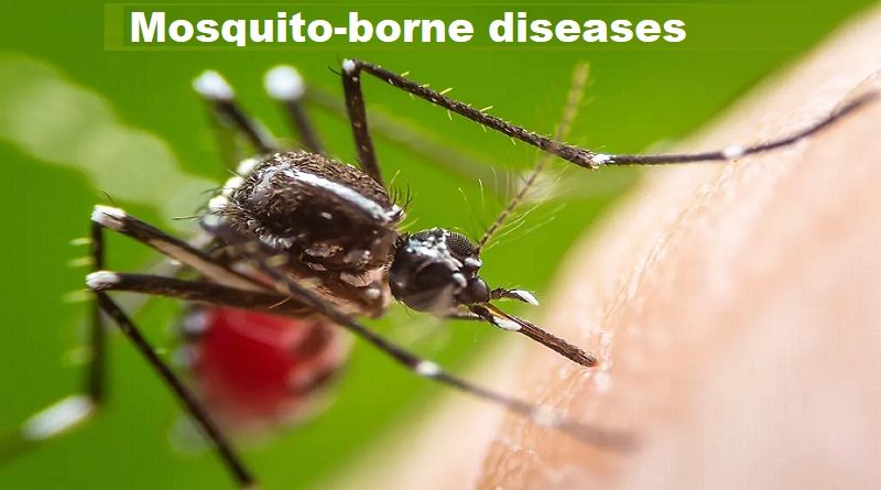 Mosquito-borne diseases