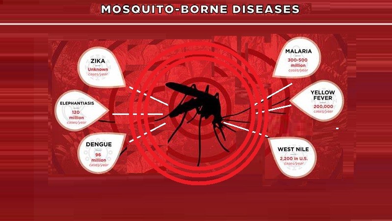 Mosquito-borne Diseases Common Types - Helal Medical