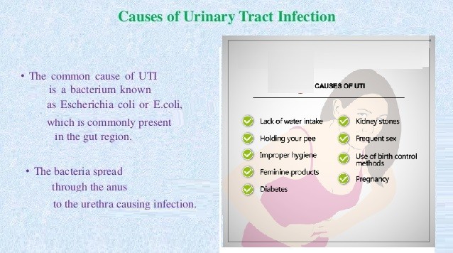 Urinary Tract Infection (UTI) , causes , symptoms and treatment