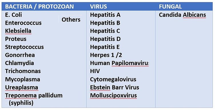 STDs, Sexually Transmitted Diseases, Classification