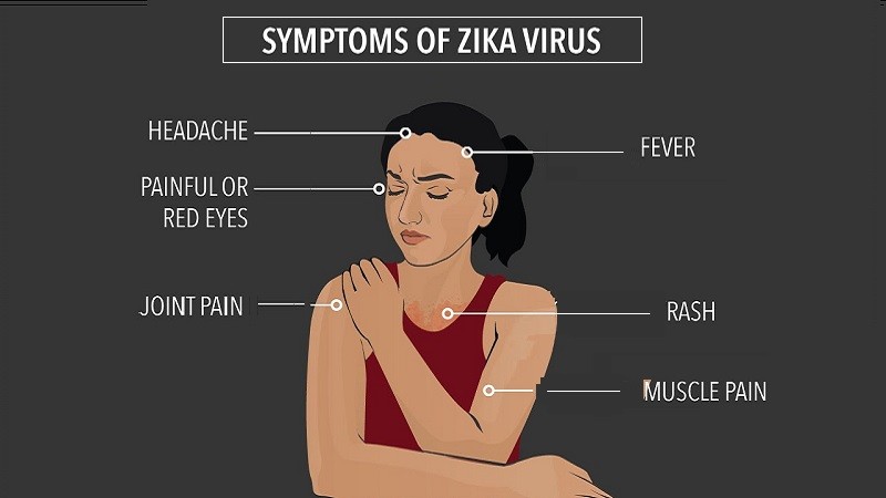 Mosquito-borne diseases - Zika