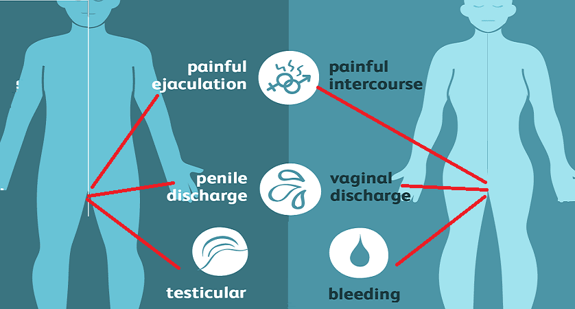 Chlamydia Infection The Most Common Of STDs Helal Medical