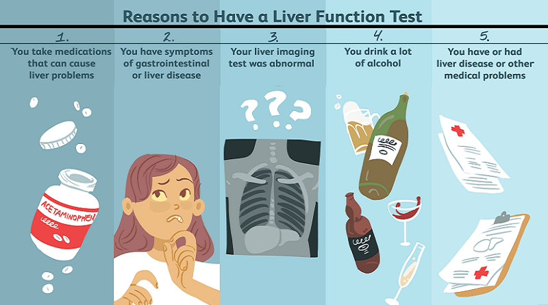 Liver function tests, what you have to know