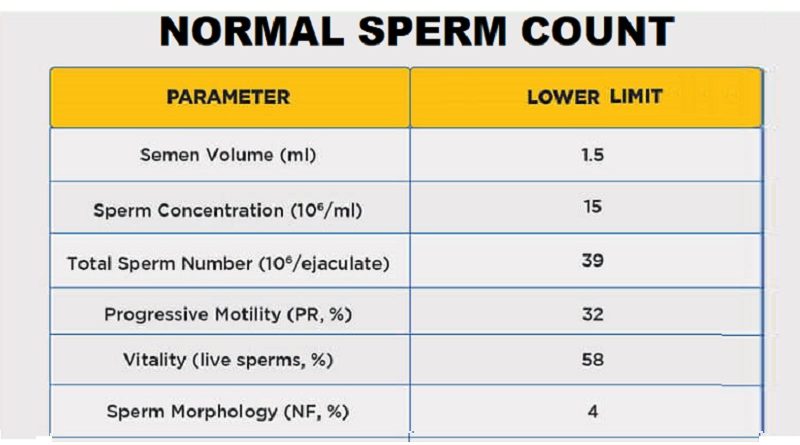 What is Normal Sperm Count?