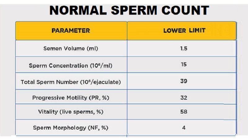 What Is Normal Sperm Count Helal Medical 