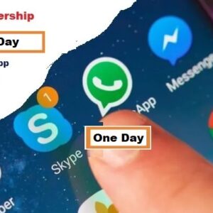 1 day consult