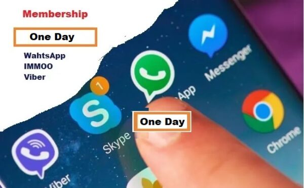1 day consult