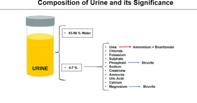 Composition of Urine and its Significance