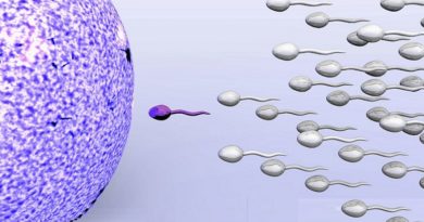 Semen Quality and Fertility: What Every Man Should Know
