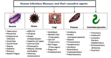 Infectious Diseases: Classification and prevention