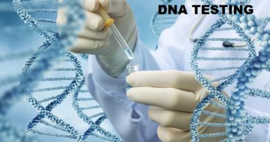 DNA Testing: Procedure, Applications, and Accuracy