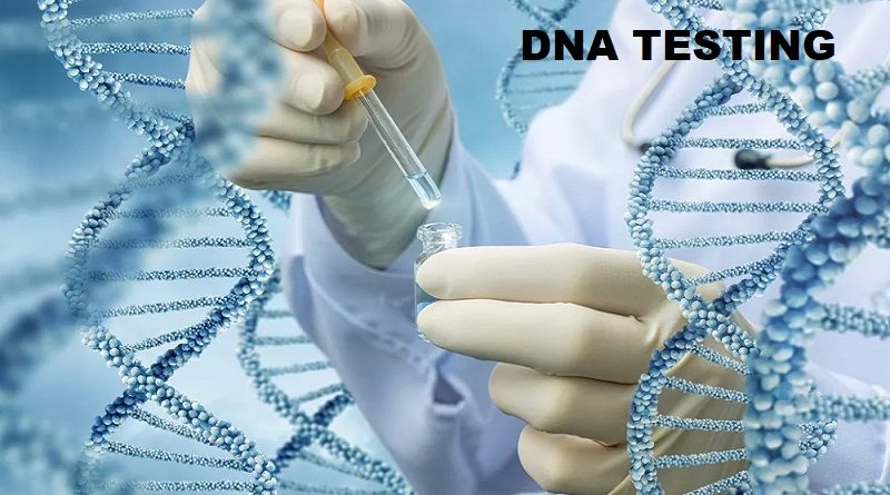 DNA Testing: Procedure, Applications, and Accuracy