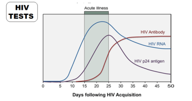 HIV RNA Test: Accuracy and Sensitivity Explained