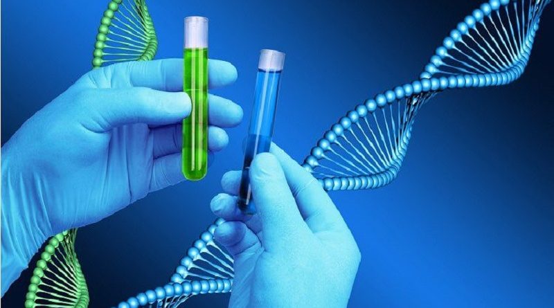 DNA Testing Accuracy: How Reliable Are DNA Tests?