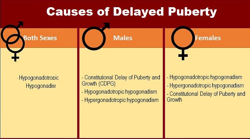 Causes of Delayed Puberty: Top10 Causes in Men