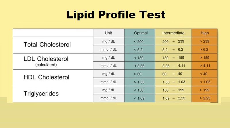 Understanding Lipid Profile Test: What You Need to Know