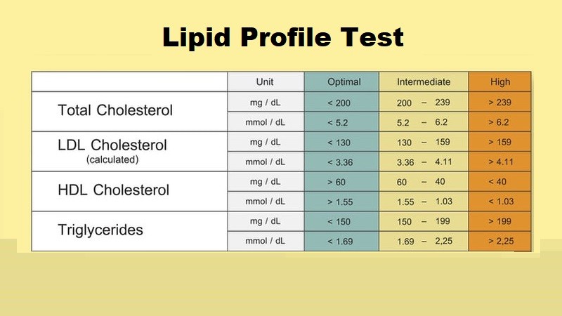 What Tests Does A Lipid Panel Include