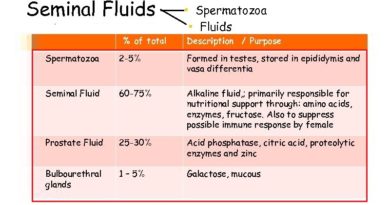 Seminal Fluid: More Than Just a Swimming Pool for Sperm
