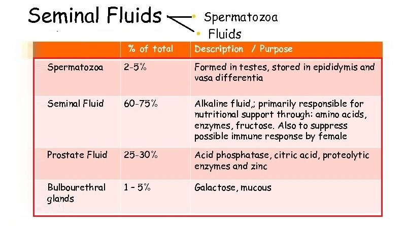 Seminal Fluid: More Than Just a Swimming Pool for Sperm