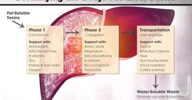 Detoxifying the Body: The Liver's Role