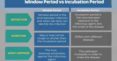 Window and Incubation Periods in Infections: What is the difference?