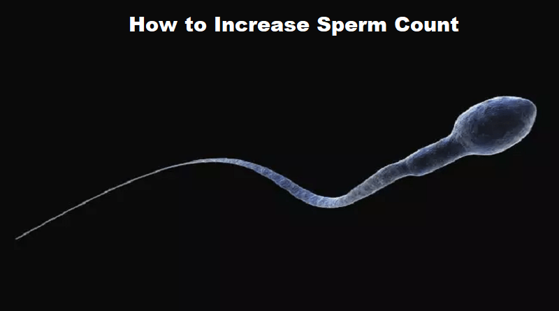 Boosting Male Fertility: How to Increase Sperm Count
