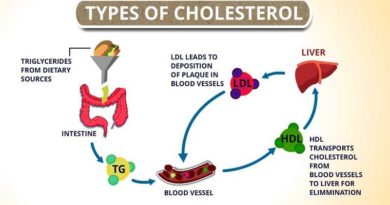 Getting a Lipid Profile Test: Learn About Your Cholesterol, HDL, LDL, and Triglyceride Levels. Knowledge is Power!