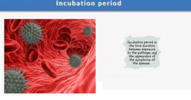 Significance of the Incubation Period