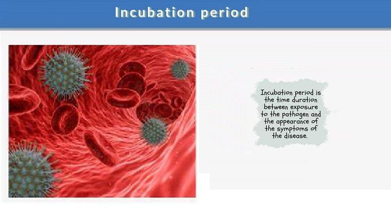 Significance of the Incubation Period