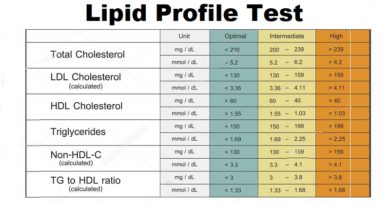 Heart Health, Getting a Lipid Profile Test Today is Crucial