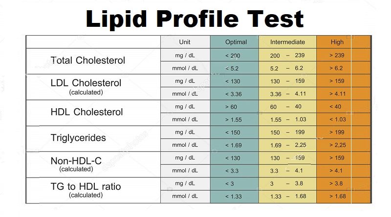 Heart Health, Getting a Lipid Profile Test Today is Crucial