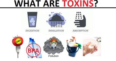 The Toxins in Our Lives: Understanding Their Harmful Effects and How to Detoxify Yourself