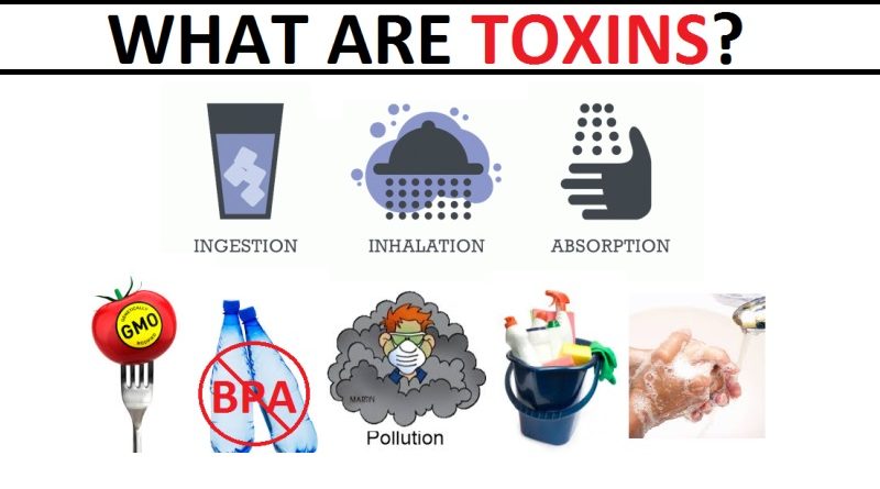 The Toxins in Our Lives: Understanding Their Harmful Effects and How to Detoxify Yourself