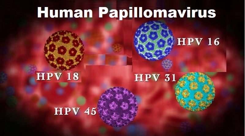 What is Human Papillomavirus: Causes, Symptoms, and Prevention