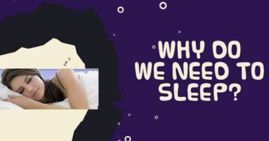 Why Humans Need to Sleep