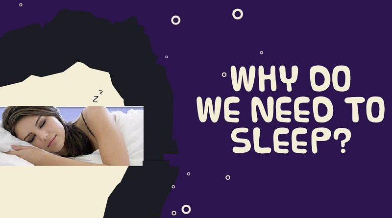 Why Humans Need to Sleep
