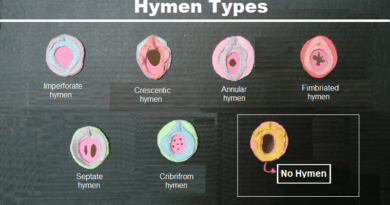 Hymen Types: Shapes and Sizes