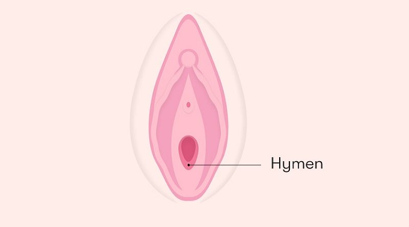 10 Interesting Facts About Hymen and Virginity: Debunking the Myths