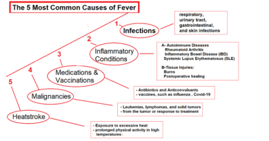 Five Most Common Causes of Fever